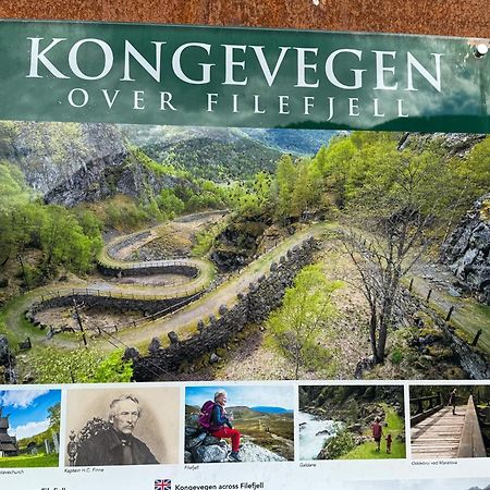 Mjosvang Kafe Vang I Valdres Exterior foto